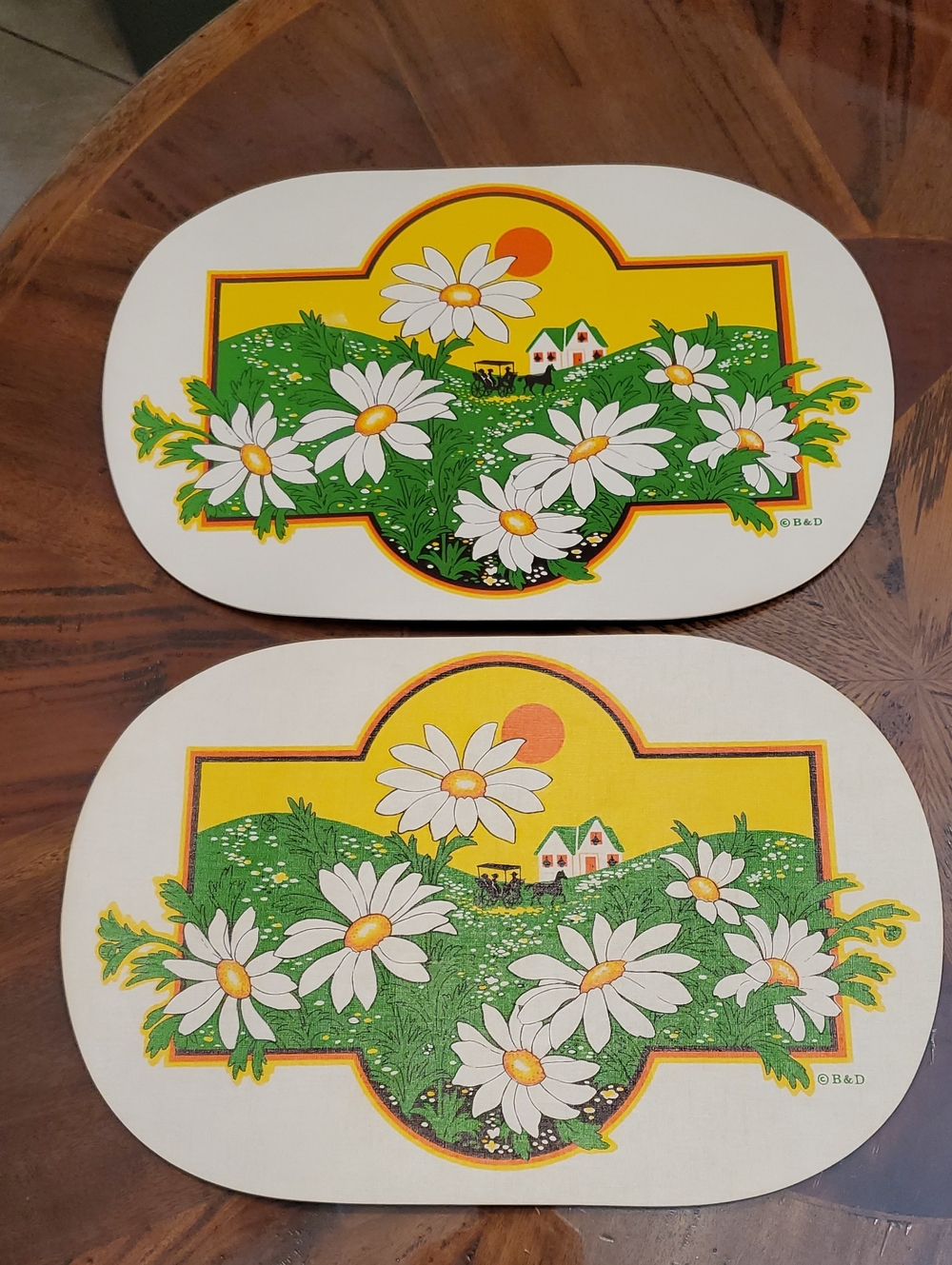 2 pc Vintage Vinyl Foam Farm Daisy Placemats